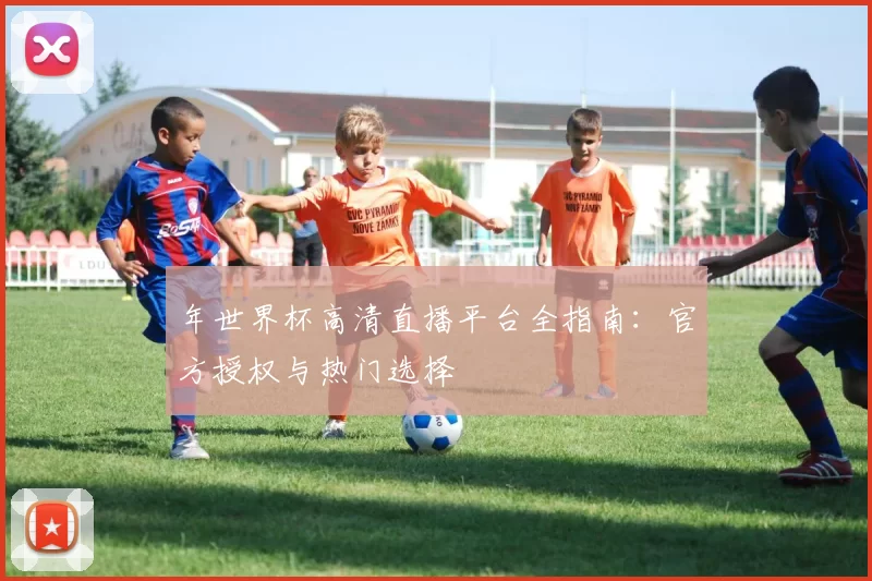 年世界杯高清直播平台全指南：官方授权与热门选择