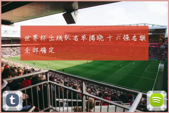 世界杯出线队名单揭晓 十六强名额全部确定