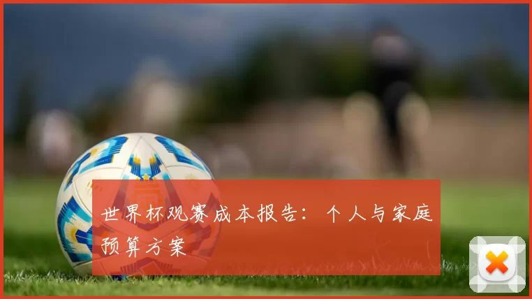 世界杯观赛成本报告：个人与家庭预算方案