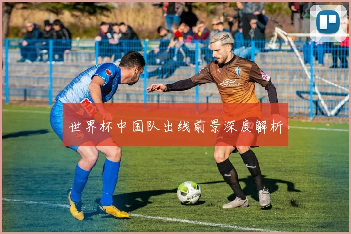 世界杯中国队出线前景深度解析