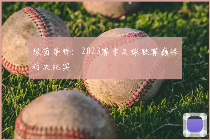 绿茵争锋:2023赛季足球联赛巅峰对决纪实