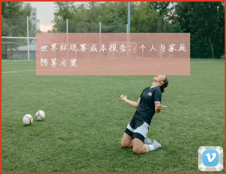 世界杯观赛成本报告：个人与家庭预算方案