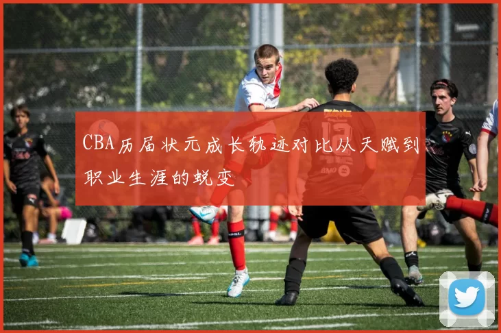 CBA历届状元成长轨迹对比从天赋到职业生涯的蜕变