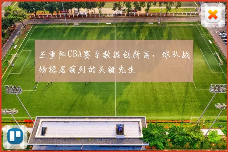 王重阳CBA赛季数据创新高，球队战绩稳居前列的关键先生