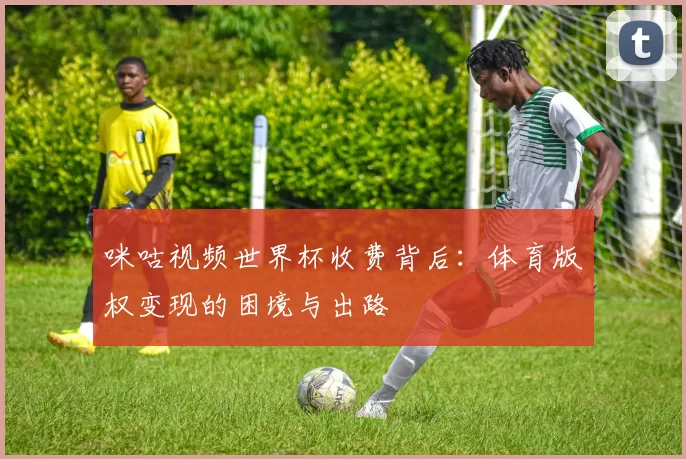 咪咕视频世界杯收费背后：体育版权变现的困境与出路